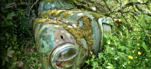 So you are buying  a used car